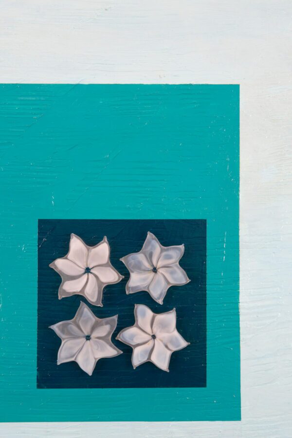 Art About Nothing Marine Biologist Close Up